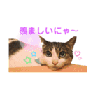 つかさの気持ち（個別スタンプ：13）