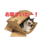 つかさの気持ち（個別スタンプ：14）