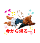 花井さんちのルアナ⑤（個別スタンプ：1）