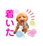 花井さんちのルアナ⑤（個別スタンプ：3）