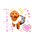 花井さんちのルアナ⑤（個別スタンプ：6）
