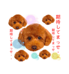 花井さんちのルアナ⑤（個別スタンプ：10）