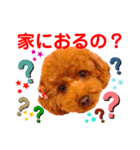 花井さんちのルアナ⑤（個別スタンプ：11）