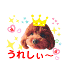 花井さんちのルアナ⑤（個別スタンプ：15）