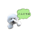 もこぴの日常使えるスタンプ（個別スタンプ：5）
