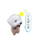 もこぴの日常使えるスタンプ（個別スタンプ：6）