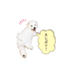 もこぴの日常使えるスタンプ（個別スタンプ：7）