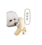 もこぴの日常使えるスタンプ（個別スタンプ：39）