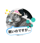 【 ちくわちゃん スタンプ 】（個別スタンプ：3）