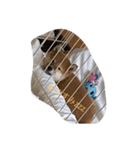 tyako sutanp（個別スタンプ：5）