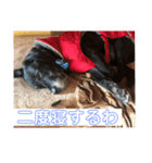 ロック4（個別スタンプ：4）