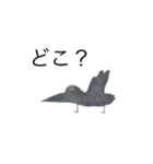 授業中の絵しりとり。（個別スタンプ：31）