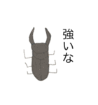 授業中の絵しりとり。（個別スタンプ：37）