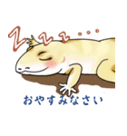 変なレオパさんペッタリ1（個別スタンプ：8）