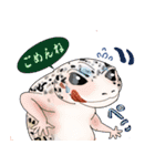 変なレオパさんペッタリ1（個別スタンプ：11）