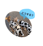 will＆latte #2（個別スタンプ：5）