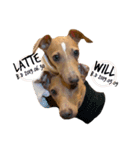 will＆latte #2（個別スタンプ：9）