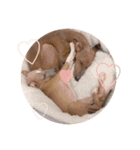 will＆latte #2（個別スタンプ：10）