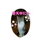 ぽぽぢくんとチャピ子さんの気持ち（個別スタンプ：2）