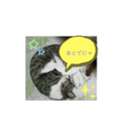 ぽぽぢくんとチャピ子さんの気持ち（個別スタンプ：3）