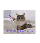 weegie-house3（個別スタンプ：3）