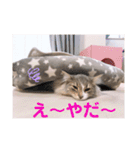 weegie-house3（個別スタンプ：6）