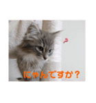 weegie-house3（個別スタンプ：8）