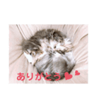 weegie-house3（個別スタンプ：16）