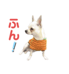 やすべーず④（個別スタンプ：4）