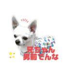 やすべーず④（個別スタンプ：5）
