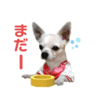やすべーず④（個別スタンプ：6）