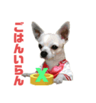 やすべーず④（個別スタンプ：9）
