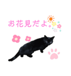 ジジたまにマシュマロ2（個別スタンプ：3）