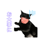 ジジたまにマシュマロ2（個別スタンプ：7）