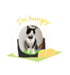 やんちゃなJIJI（個別スタンプ：7）