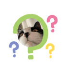 やんちゃなJIJI（個別スタンプ：16）