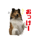 中谷家の愉快な仲間たち（個別スタンプ：2）