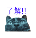 中谷家の愉快な仲間たち（個別スタンプ：29）