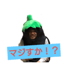 藤塚です 3（個別スタンプ：13）