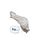 うちのねこ うにとろスタンプ（個別スタンプ：3）