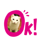 えるあるふくなの（個別スタンプ：3）