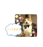 えるあるふくなの（個別スタンプ：7）