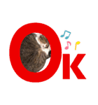 世界一可愛い猫ちゃんズ（個別スタンプ：31）