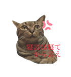 まりいのスタンプ（個別スタンプ：5）