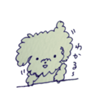 コタんぷ2（個別スタンプ：4）