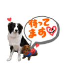 楽太郎と幸次郎2（個別スタンプ：2）