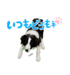 楽太郎と幸次郎2（個別スタンプ：5）