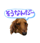 楽太郎と幸次郎2（個別スタンプ：11）
