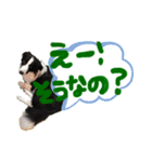 楽太郎と幸次郎2（個別スタンプ：12）