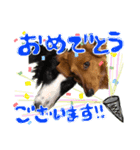 楽太郎と幸次郎2（個別スタンプ：13）